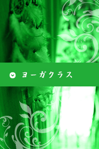 ���[�K�N���X